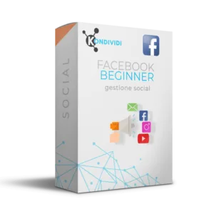 campagne facebook beginner