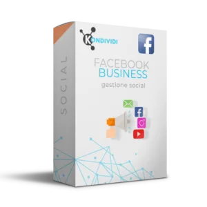 campagne facebook business