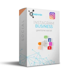 campagne instagram business