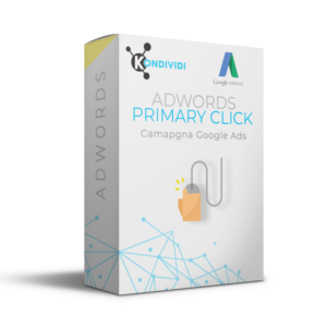 campagne Google Ads primary click