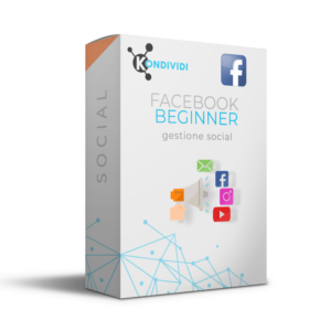 campagne facebook beginner